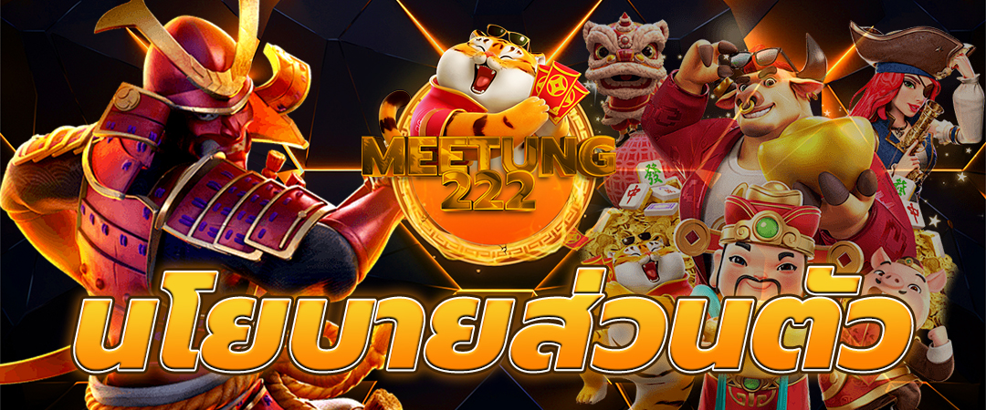 นโยบายความส่วนตัว